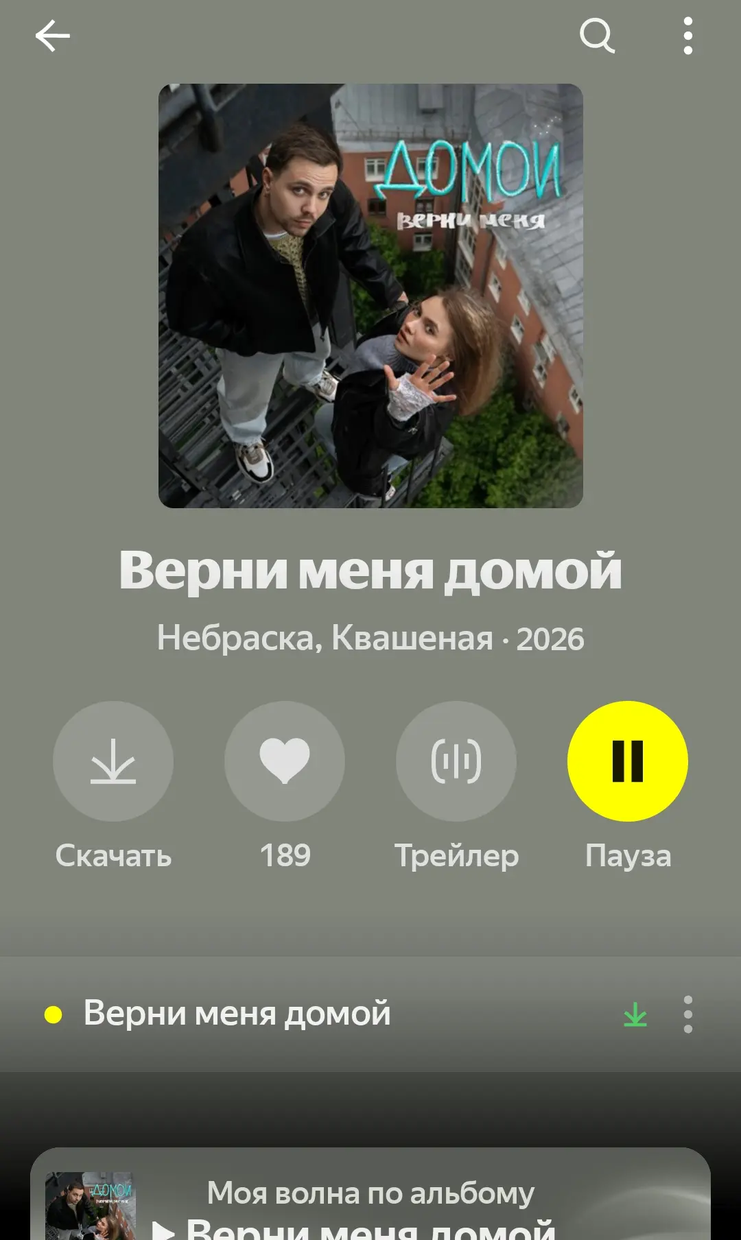 Квашеная
